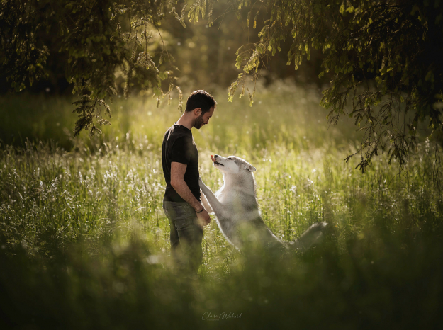 shooting homme et chien husky nancy