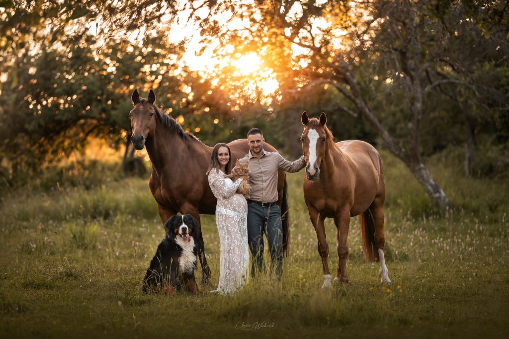 Portrait de couple enceinte avec leurs chevaux, chien et chat à Bouxurulles, séance photo maternité et animaux