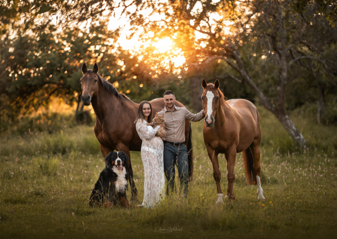 Portrait de couple enceinte avec leurs chevaux, chien et chat à Bouxurulles, séance photo maternité et animaux