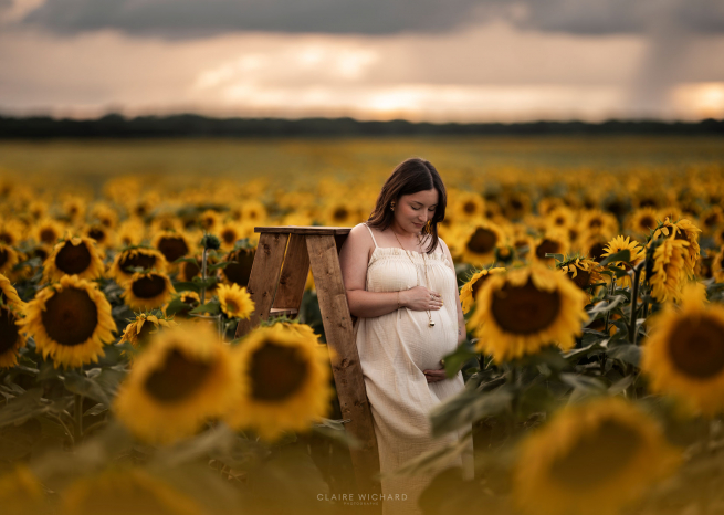 Séance photo maternité originale dans un champ de tournesols près de Nancy, future maman posant sur un escabeau en bois