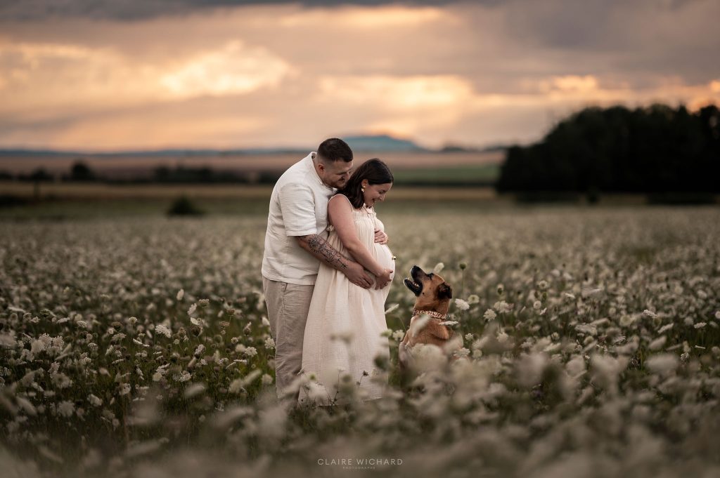 Future maman et futur papa avec leur chien lors d'une séance photo de grossesse en extérieur dans le Saintois