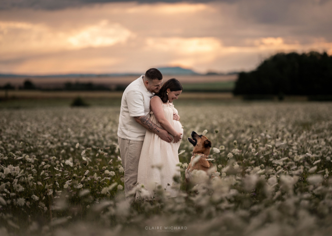 Future maman et futur papa avec leur chien lors d'une séance photo de grossesse en extérieur dans le Saintois