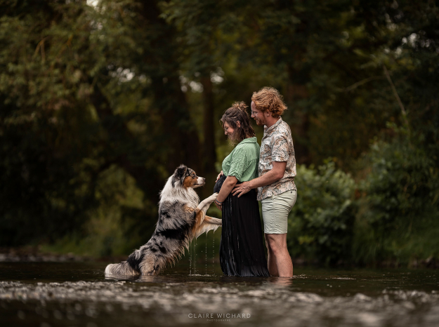 Chien Berger Australien posant ses pattes sur le ventre d'une femme enceinte dans une rivière proche de Nancy