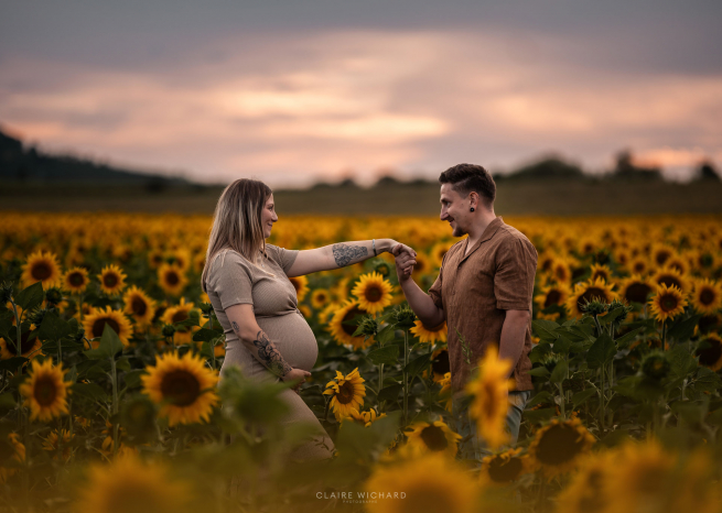 Séance photo grossesse en extérieur dans les tournesols du Saintois sous une lumière dorée de fin de journée