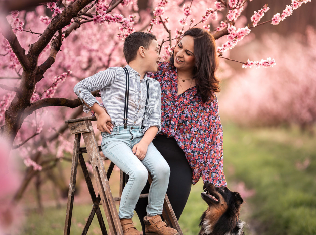 Photographe lifestyle Nancy, une maman, son fils et leur chien Berger Australien dans les fleurs de mirabelliers roses