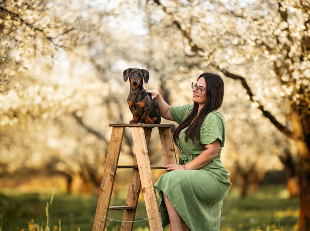 Une femme en robe verte sur une échelle en bois caressant son teckel, entourée d'arbres fruitiers en fleurs sous une lumière dorée.
