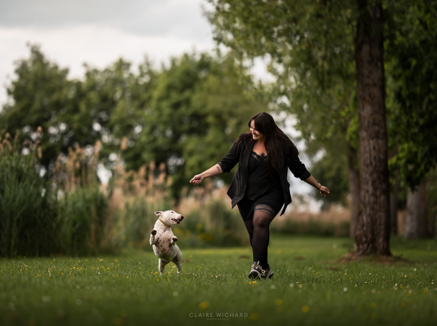 Shooting photo d'un chien Bull Terrier qui joue et saute joyeusement dans l'herbe avec sa maîtresse en pleine nature.