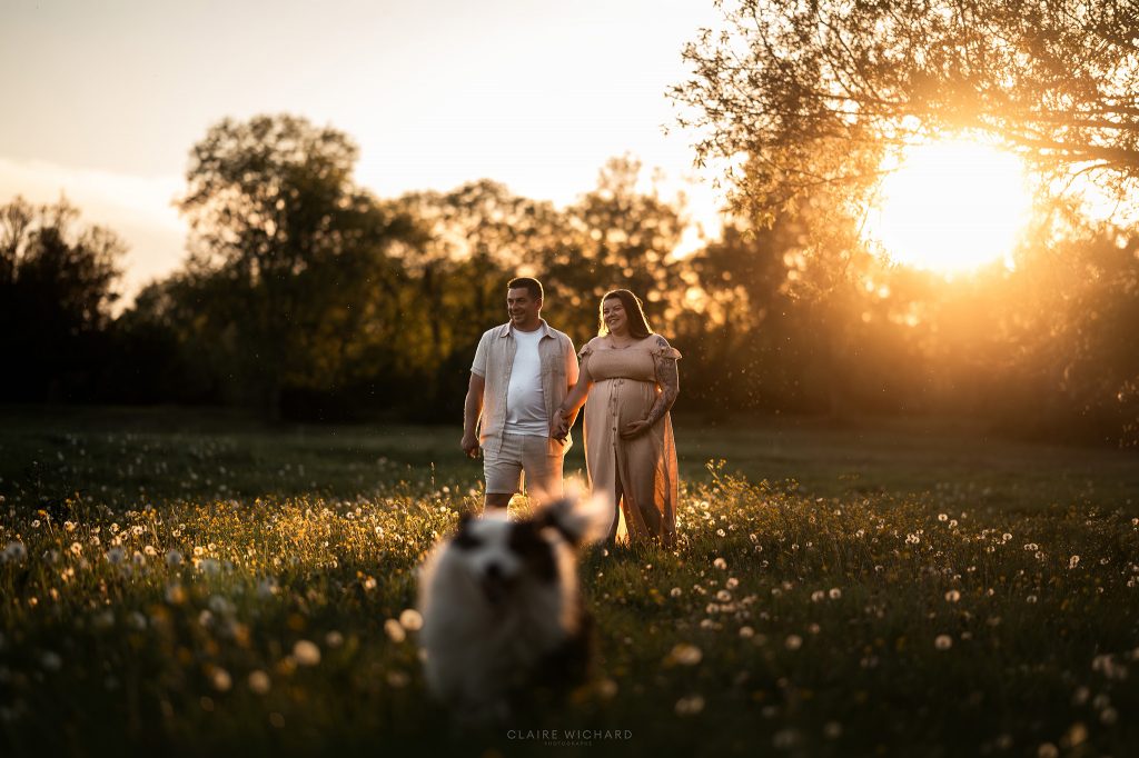 Photographie de grossesse lumineuse et chaleureuse en Lorraine. Les futurs parents marchent main dans la main dans une prairie de pissenlits au coucher du soleil, devancés par leur chien qui court joyeusement vers l'objectif.