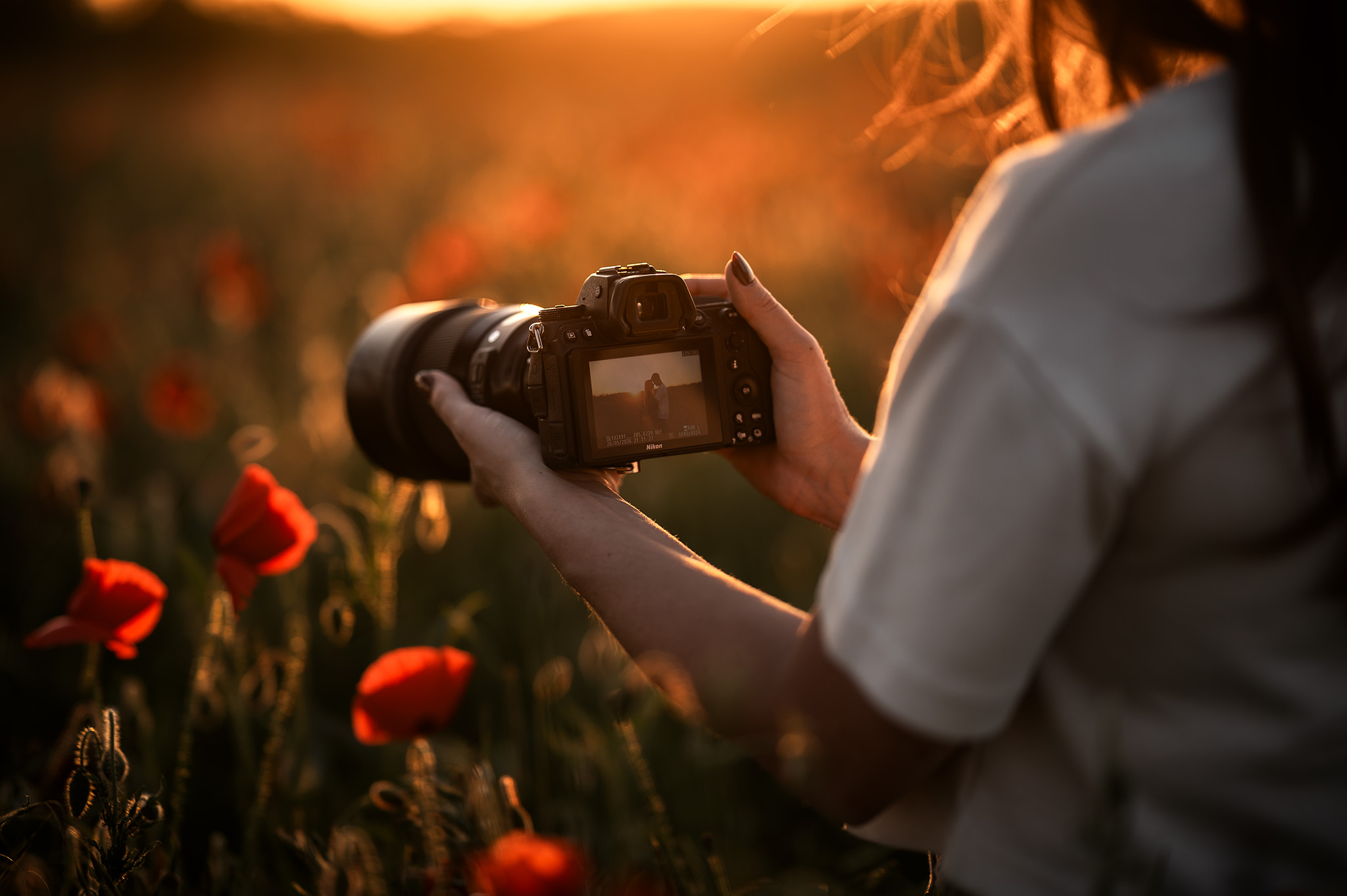 Les mains d'une photographe professionnelle tenant un appareil photo hybride pour capturer un couple au coucher du soleil, avec un aperçu de la photo sur l'écran LCD, au milieu d'un champ de coquelicots près de Nancy.