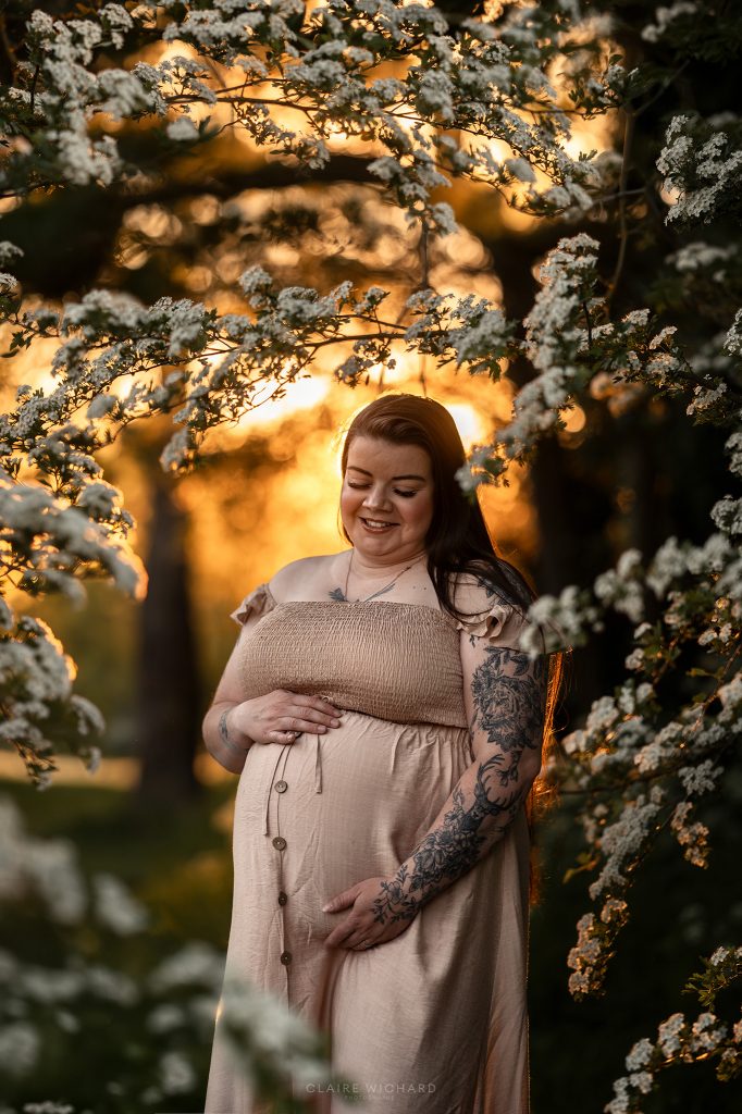 Portrait poétique et lumineux d'une future maman seule, vêtue d'une robe de grossesse beige, encadrée par des branches d'arbres en fleurs blanches lors d'un coucher de soleil en Lorraine