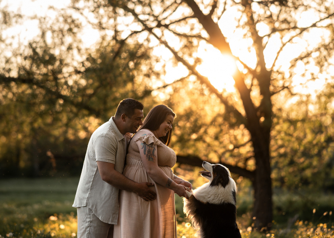 Shooting photo de maternité et complicité avec les animaux en Meurthe-et-Moselle. Un couple attend un enfant dans un champ de fleurs sauvages, tandis que leur chien de race Berger Australien se tient sur ses pattes arrière face à eux à contre-jour