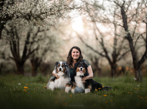 Une femme souriante assise dans l'herbe printanière entourée de ses deux chiens Bergers Australiens, sous une allée d'arbres en fleurs en meurthe et moselle